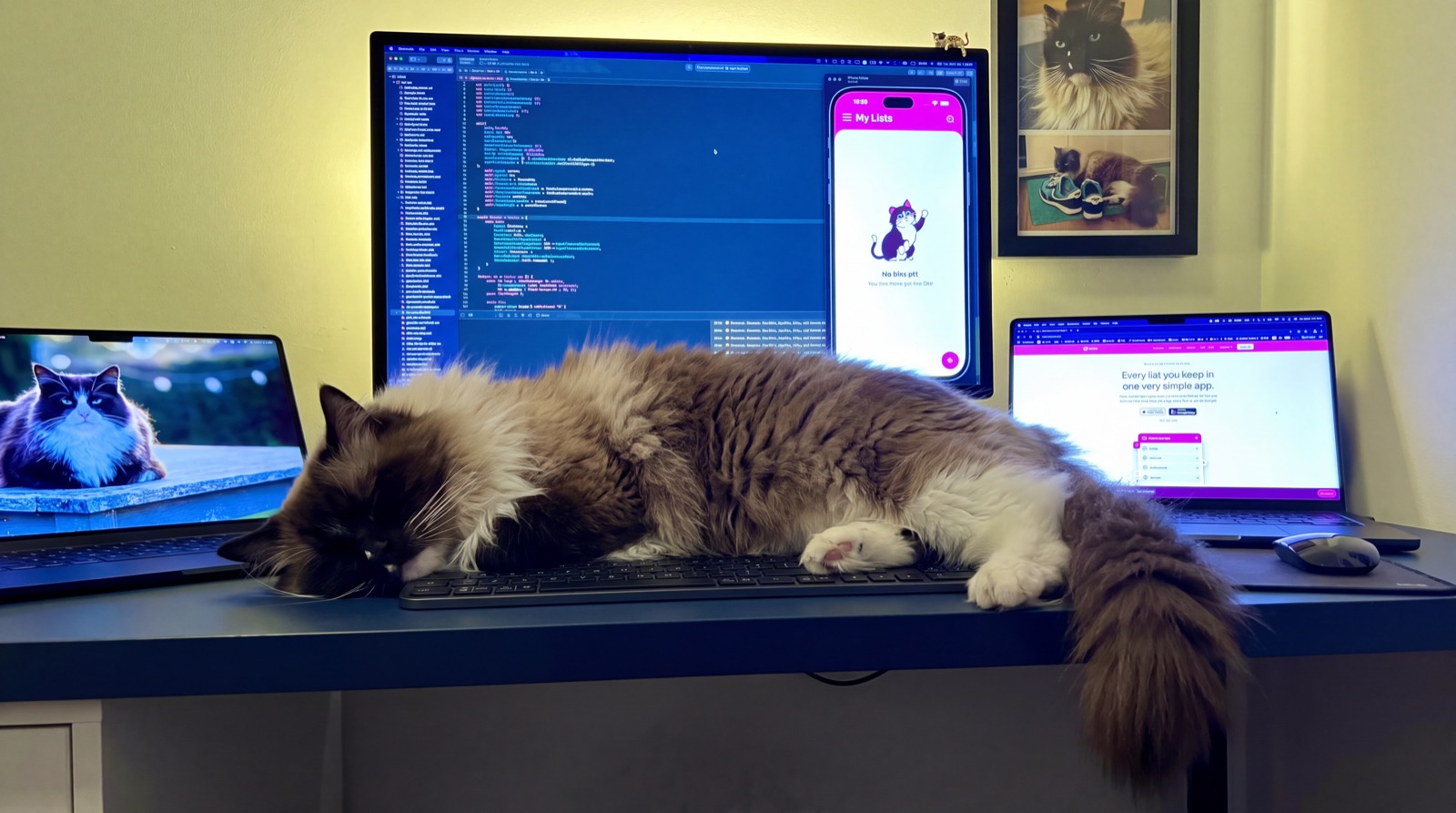 Mochi asleep on the desk in front of the keyboard, lit by the screens